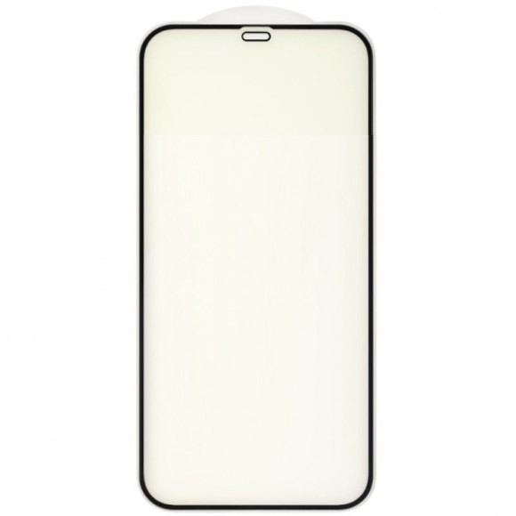 Защитное стекло Anti Blue для Apple iPhone 12 Pro Max, черный (Vixion)