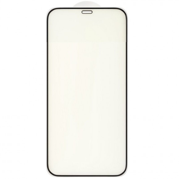 Защитное стекло Anti Blue для Apple iPhone 12, 12 Pro, черный (Vixion)