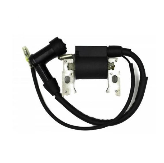 Катушка зажигания для Briggs&Stratton 796500 131030