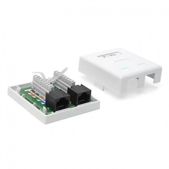 Розетка настенная, 2 порта RJ-45, категория 5е, белая, TWT-SM2-4545-WH