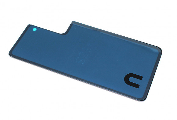 Задняя крышка для Samsung Galaxy S21 Plus G996 серебристая