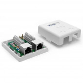 Розетка настенная, 2 порта RJ-45, категория 6, экранированная, белая, TWT-SM2-4545/S6-WH Розетка настенная, 2 порта RJ-45, категория 6, экранированная, белая, TWT-SM2-4545/S6-WH