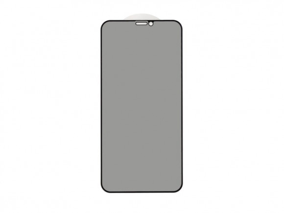 Защитное стекло 3D PRIVACY для Apple iPhone X, XS, 11 Pro, черный (Vixion)